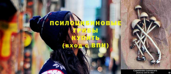 герыч Няндома