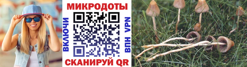 Галлюциногенные грибы MAGIC MUSHROOMS  Мамадыш 